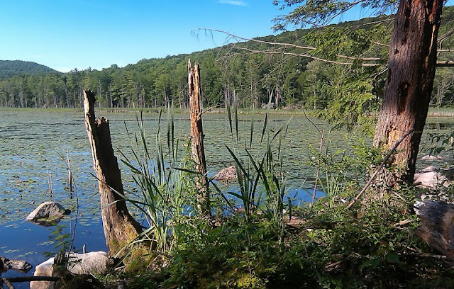 Fountain Pond State Park in Great Barrington, Massachusetts