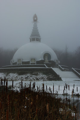The Grafton Peace Pagoda in the early morning fog