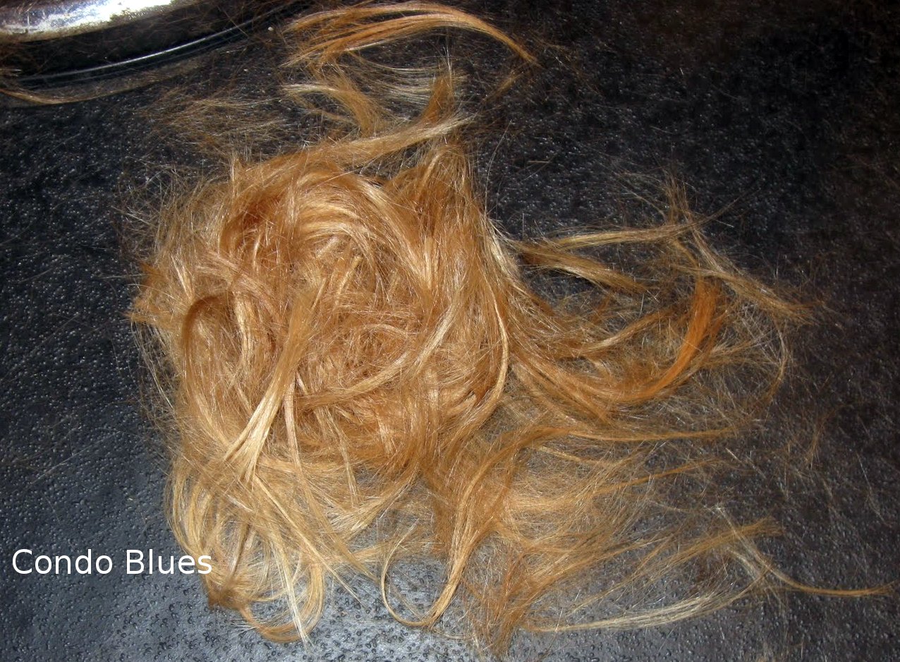 Condo Blues I Donated My Hair to Clean Up the Gulf Cost Oil Spill