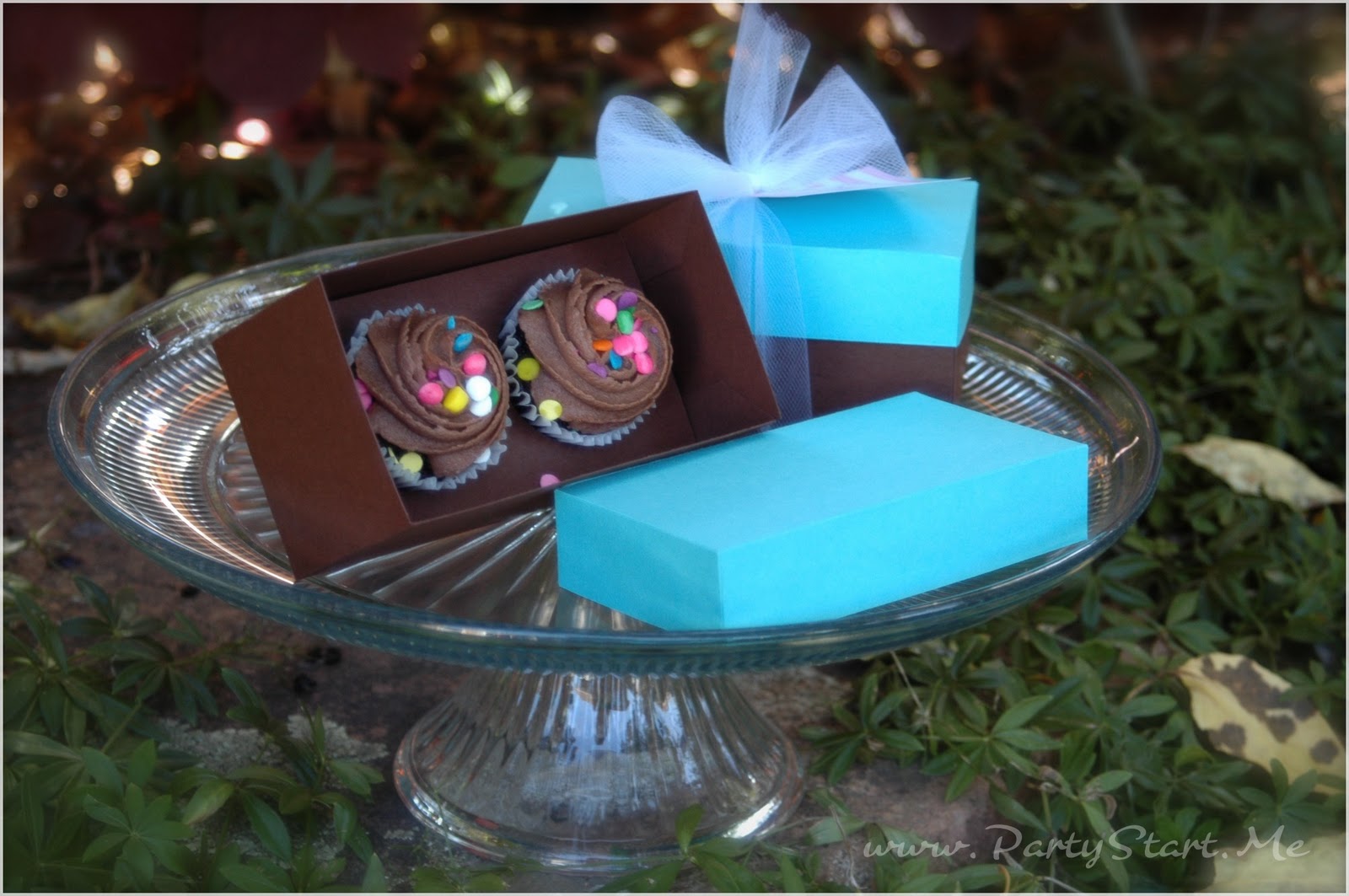 mini cupcake favor boxes