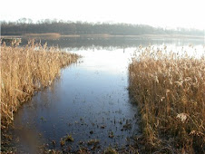 BOULTHAM MERE