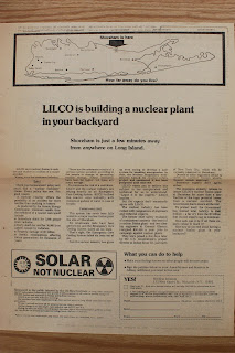 Means, Motive and Opportunity - Who Discouraged US Nuclear Developments? 3
