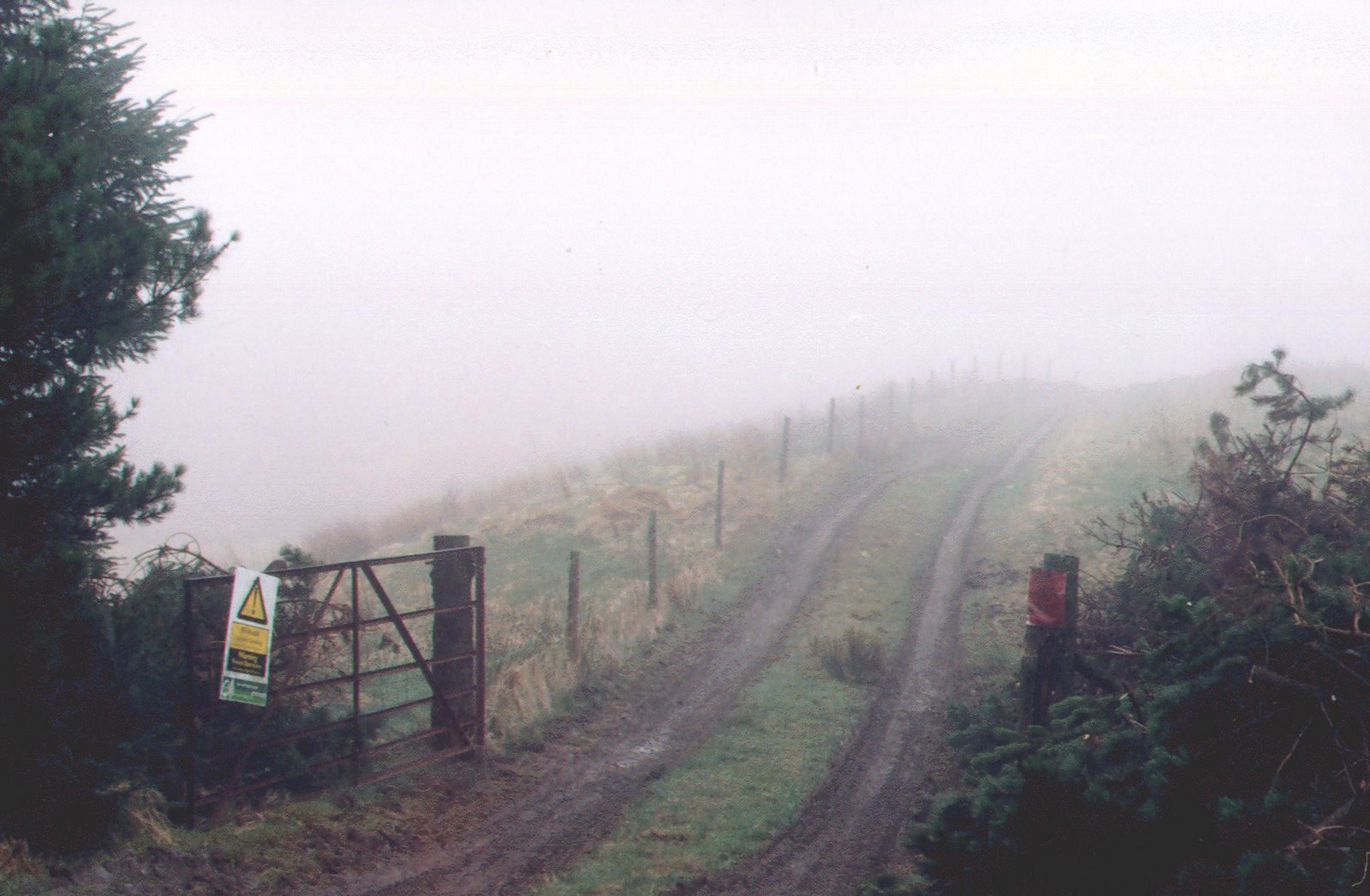 [site+compound+before.jpg]