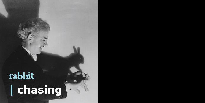 rabbitchasing