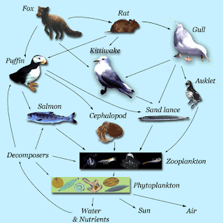 importance of biodiversity