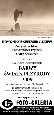 fotografia przyrodnicza