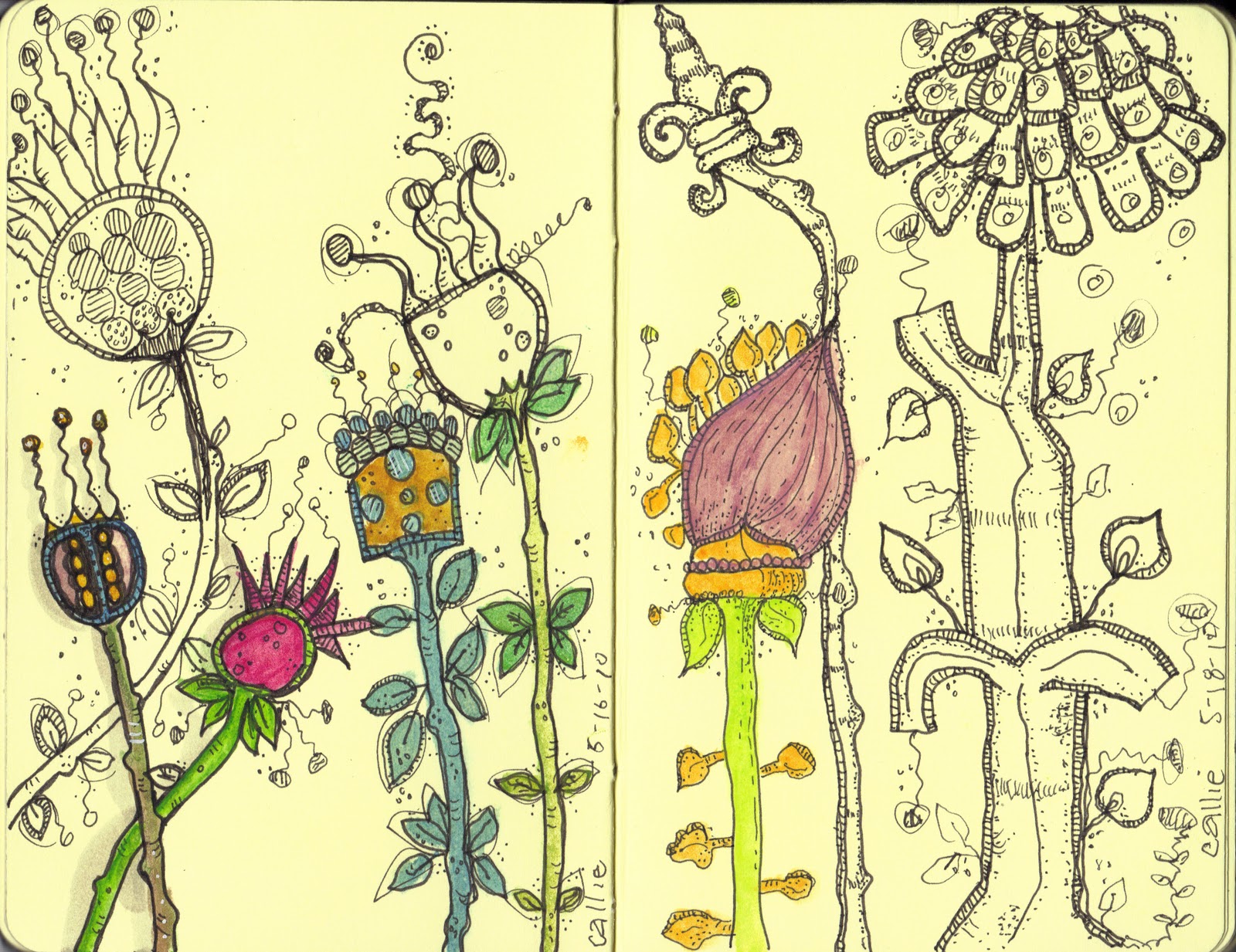 Carol Sloan Studios Sketchbook and/or Visual Journal Pages