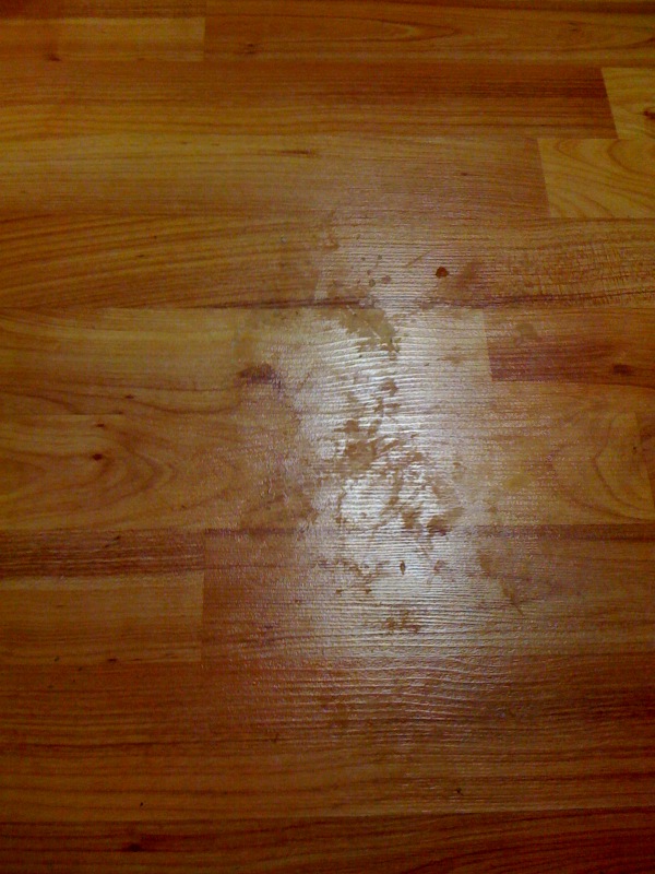 Maker's Diet Mom: Toxin Free Home: My New Favorite ...