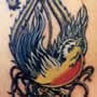 nightingale tattoo design