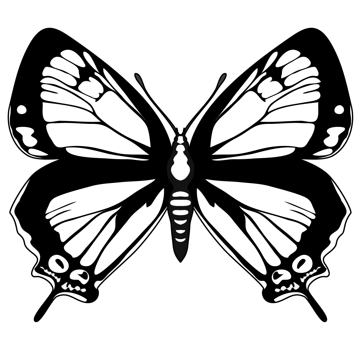 Black and White Clip Art Butterfly Black and White Clip Art