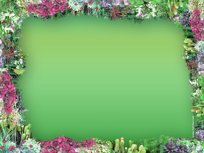 flower frame clipart. clip art borders.