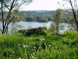 Lake Nacimiento