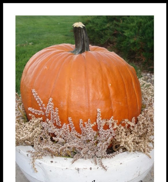 A Bit of Heaven Decorating with Pumpkins
