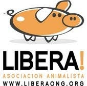 LIBERA!