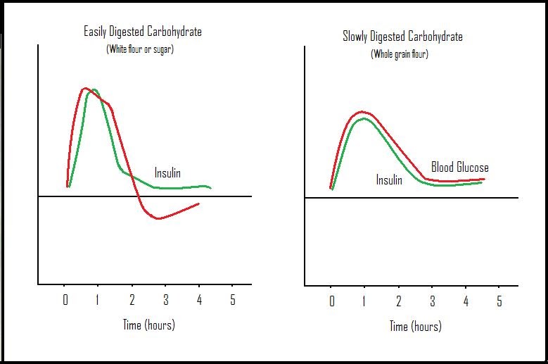 grain expectations blood sugar blood sugar chart after meal