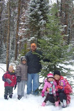 The hunt for a Christmas Tree 2008
