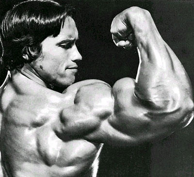 arnold schwarzenegger workout pdf. schwarzenegger workout