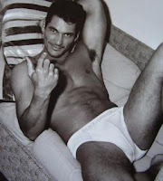 http://2.bp.blogspot.com/_lkmNteTGQPc/TNxp8XsqDpI/AAAAAAAABDc/qrFnqVsb50g/s400/David%252BGandy%252BFool%252BOpera.jpg