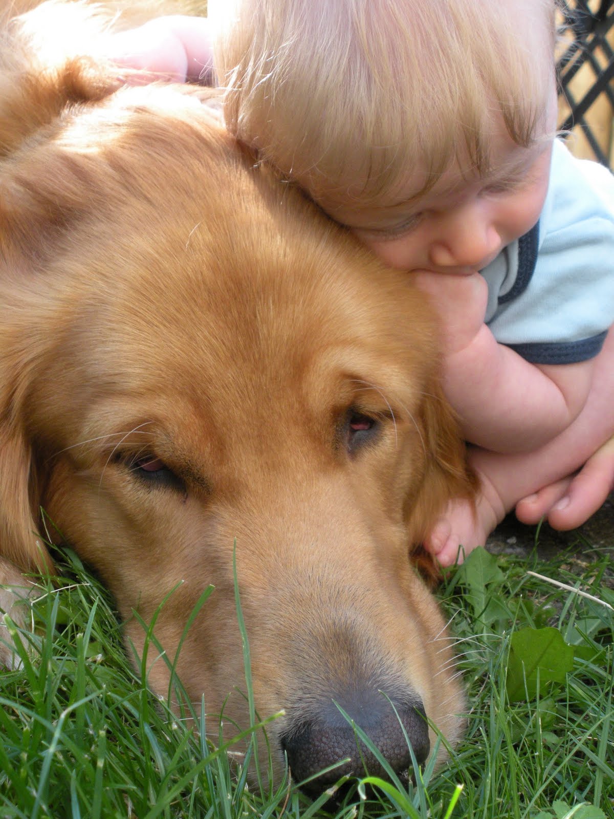[ehtan+and+chase.JPG]