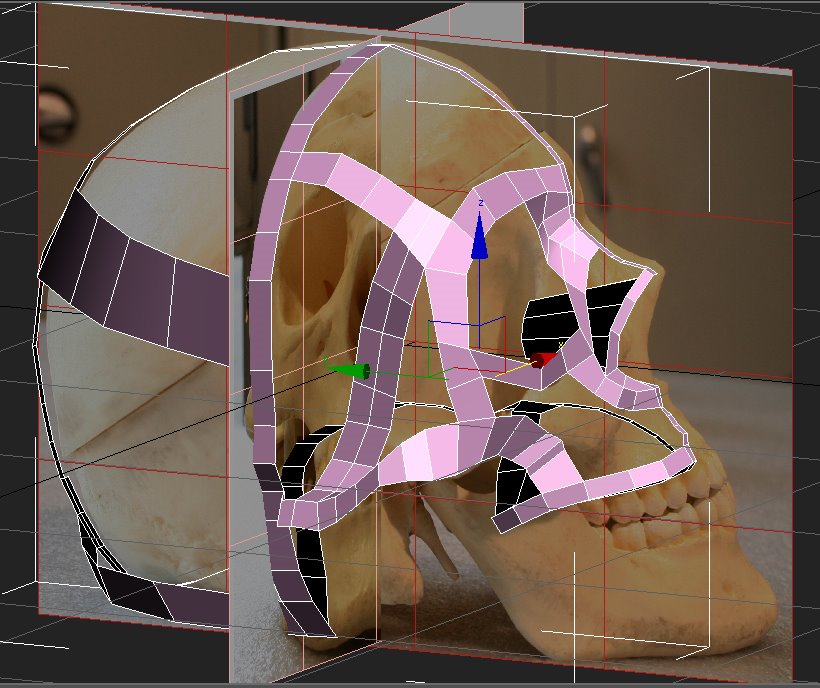 [SKull_modeling01.jpg]