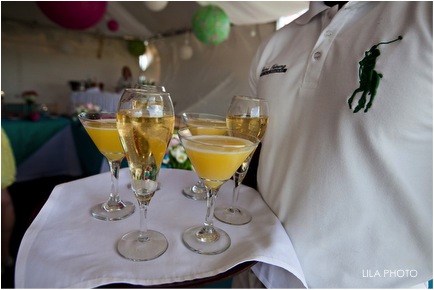 palm-beach-polo-bridal-shower