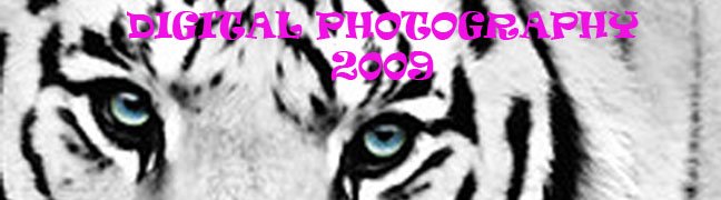 Digital photography