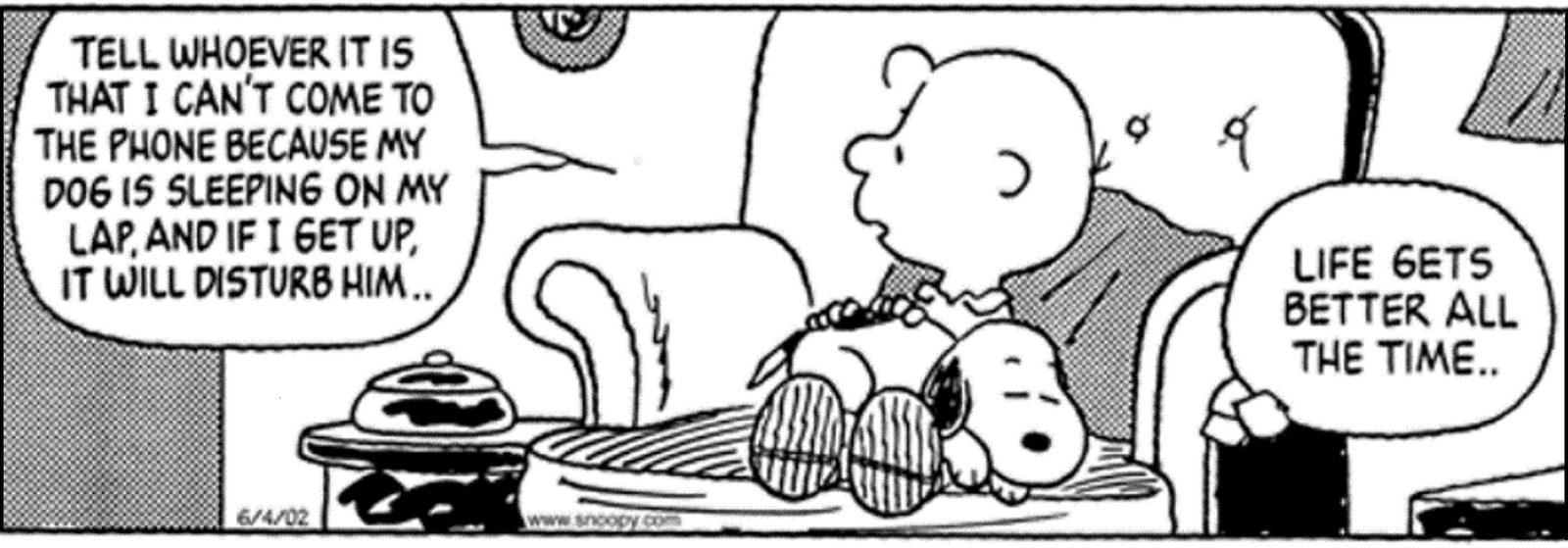 Snoopy / Charlie Brown Snoopy+2