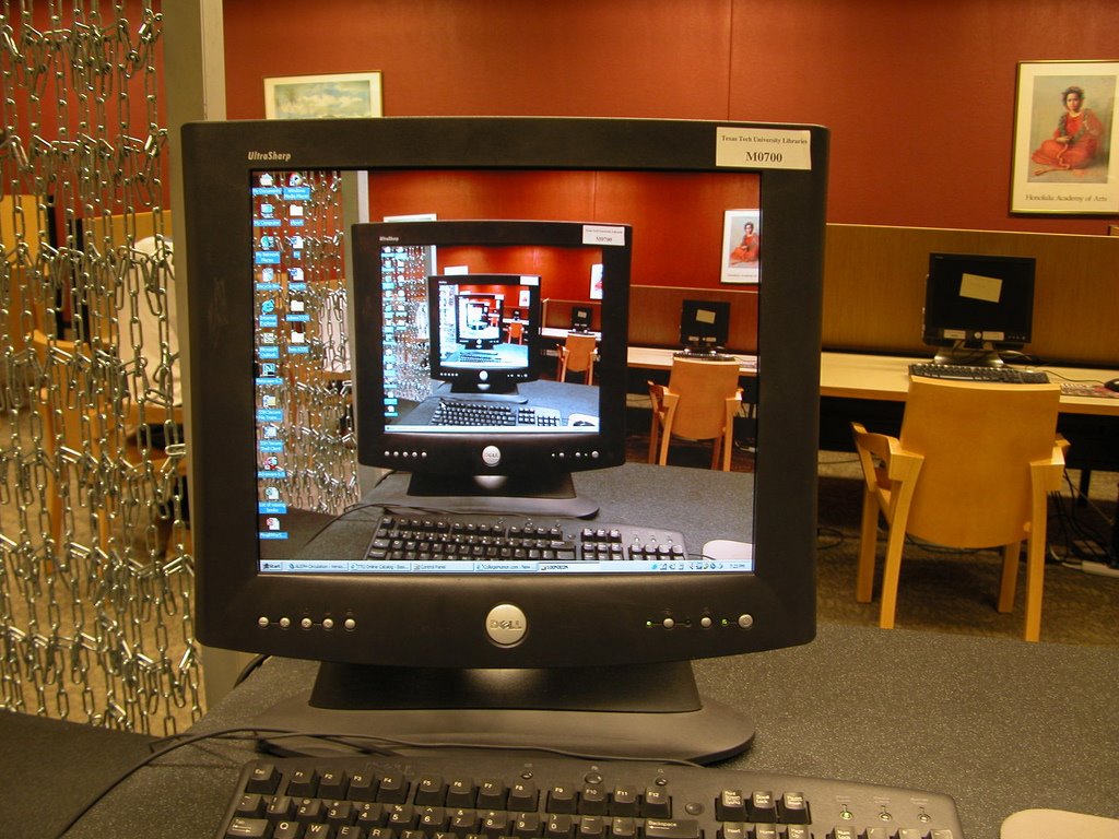 [2314124706_5e48063bc8_b.jpg]