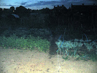 the allotment