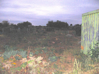 allotment