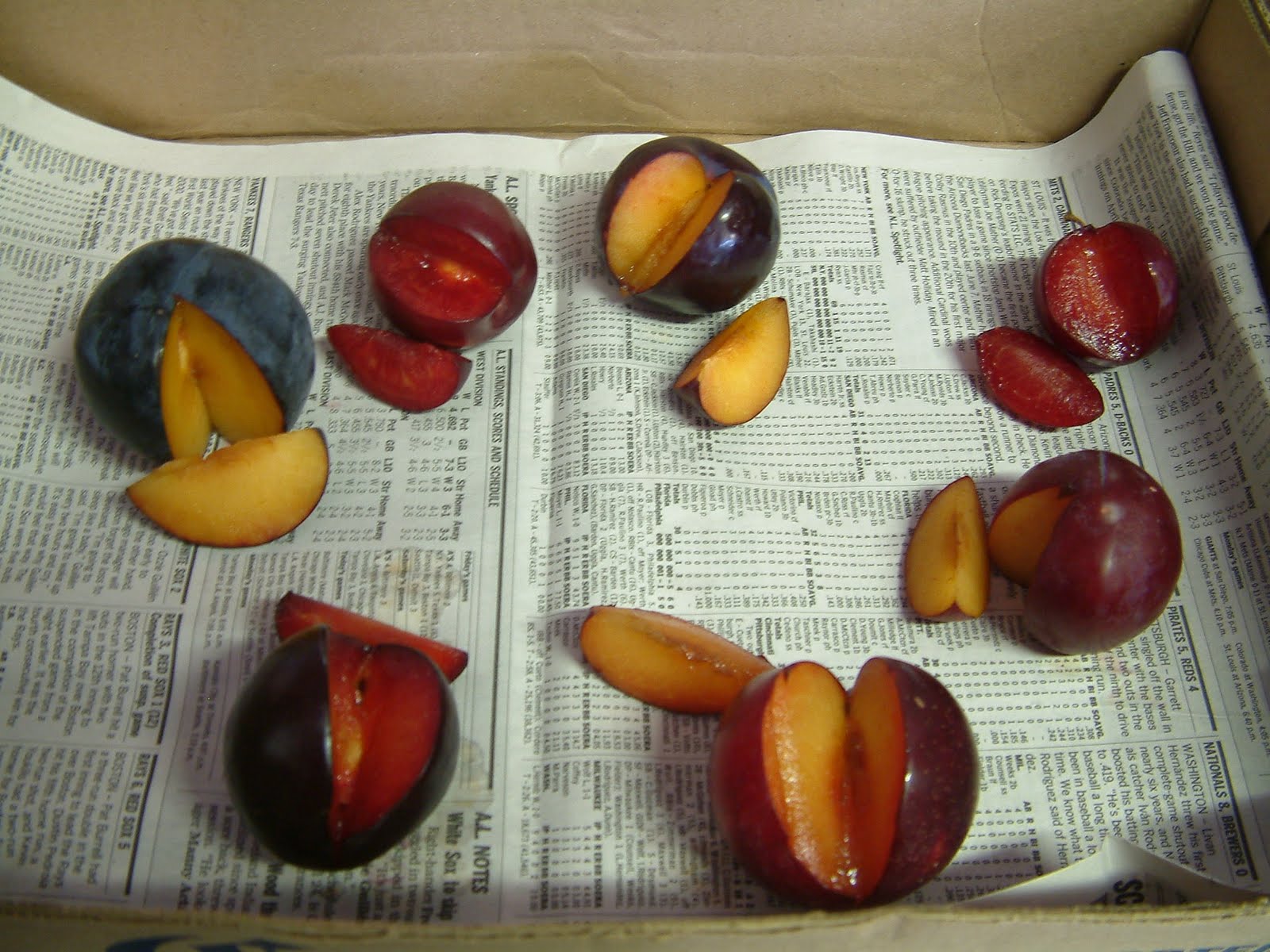 Otow Orchard Fruit Stand Lots of Plums and Peaches