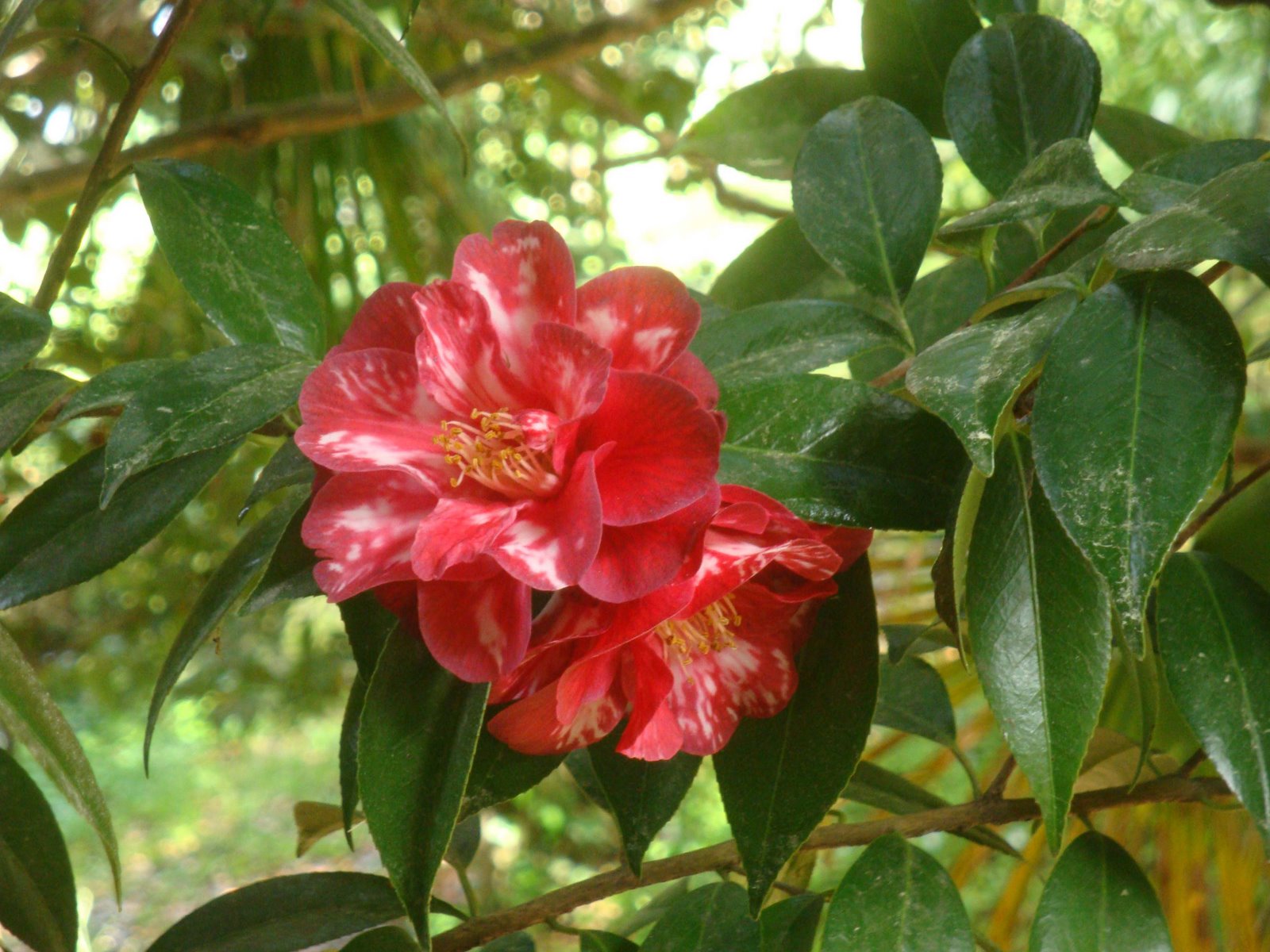 [DSC05847.jpg]