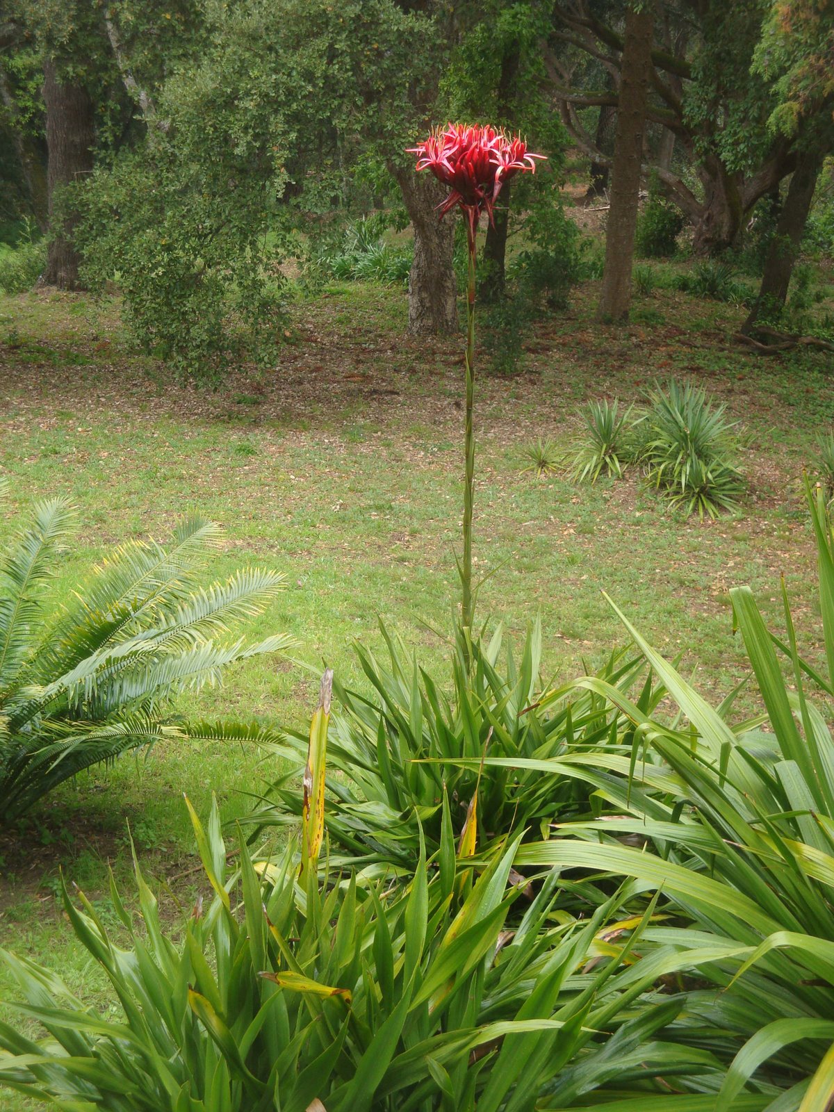 [DSC05949.jpg]