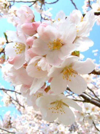 [DSCF7560.JPG]