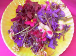 African Violet Blossoms on Gypsy Plate