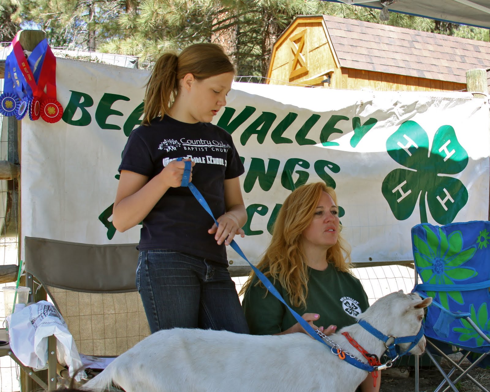 Homestead Revival The Original Homestead Revival 4H