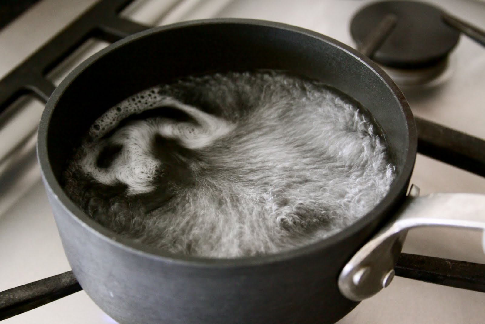 Homestead Revival Canning Tutorial Tattler ReUseable Lids