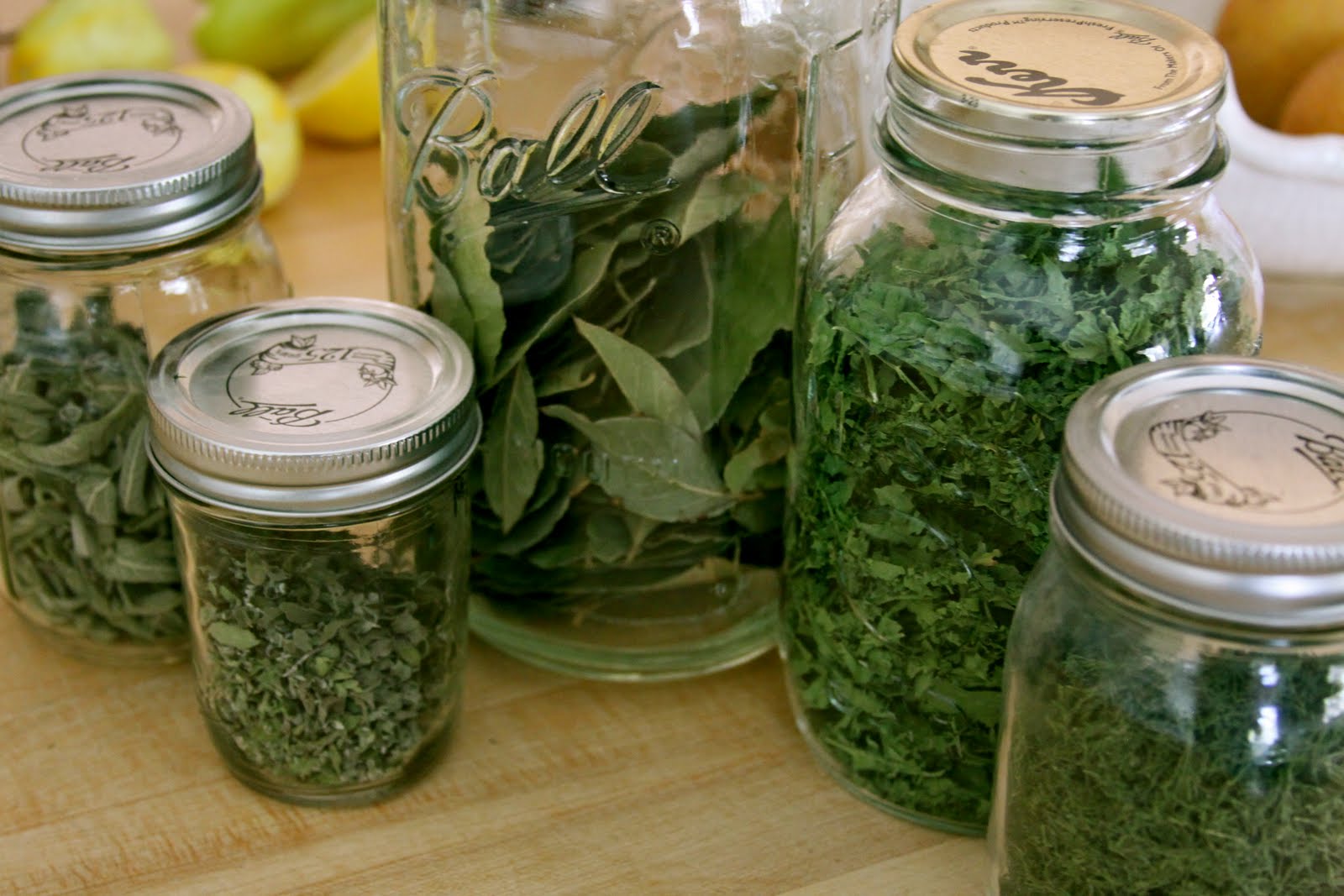 Homestead Revival Saving Money With Bulk Herbs and Spices