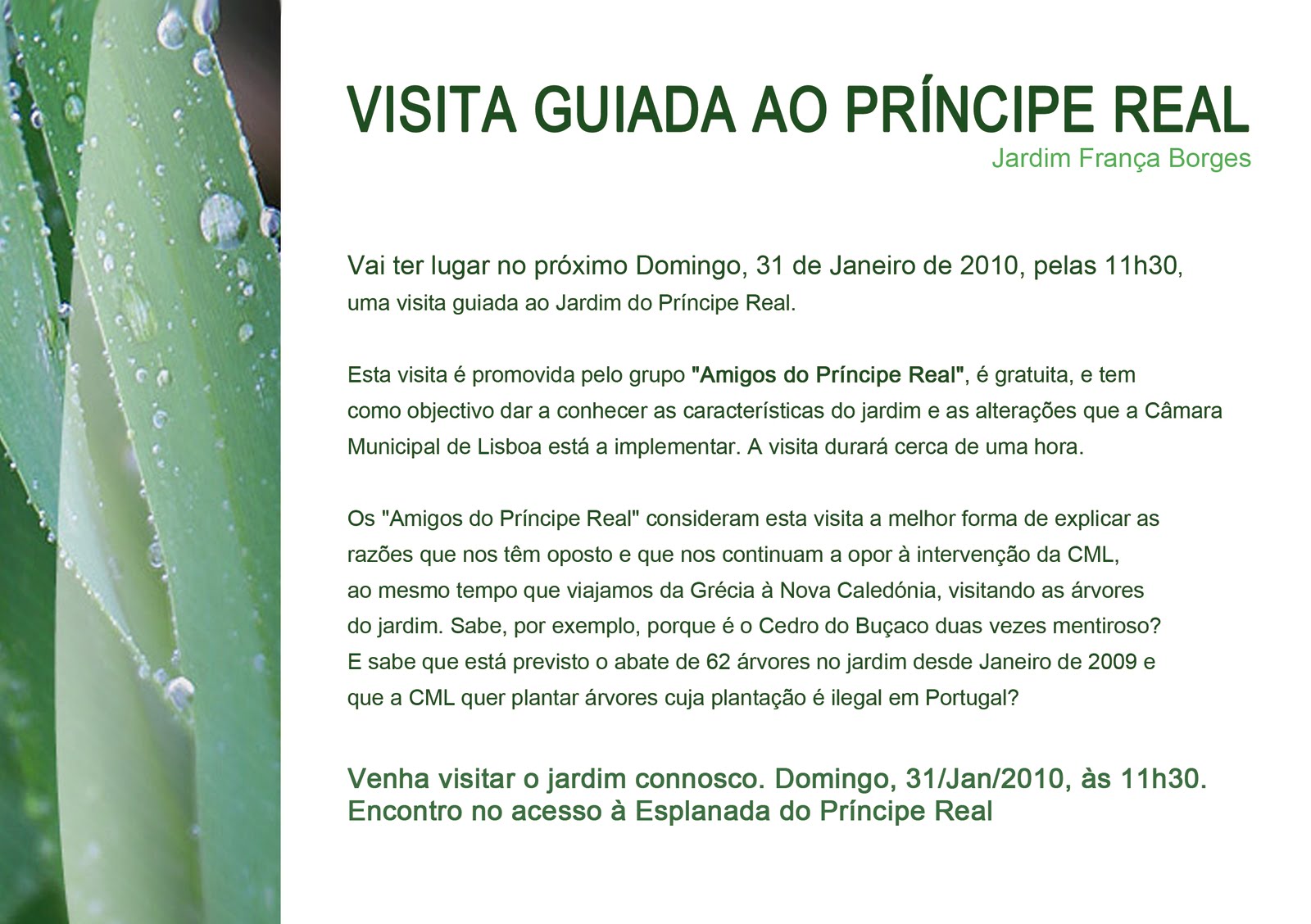 [Principe+Real.jpg]