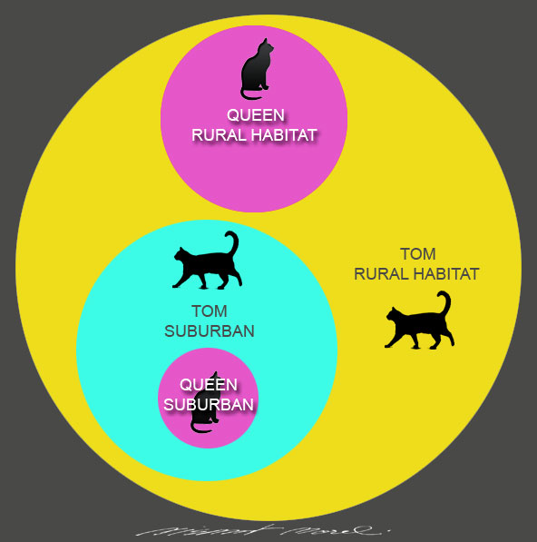 Mr. Puddy Understand her territorial