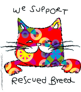 Adopt a Rescued Kitty