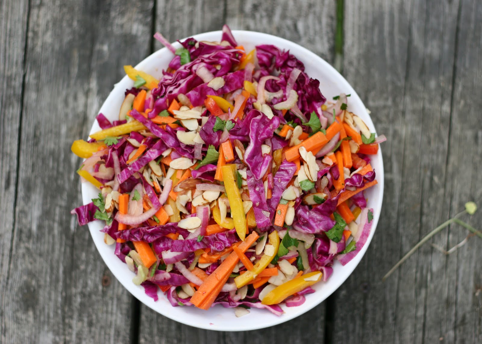 Sweet Cheeks in the Kitchen. Rainbow Bright Slaw!