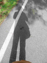 My Photo