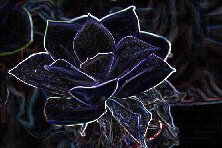 [blgIMG_3404gmpd.JPG]