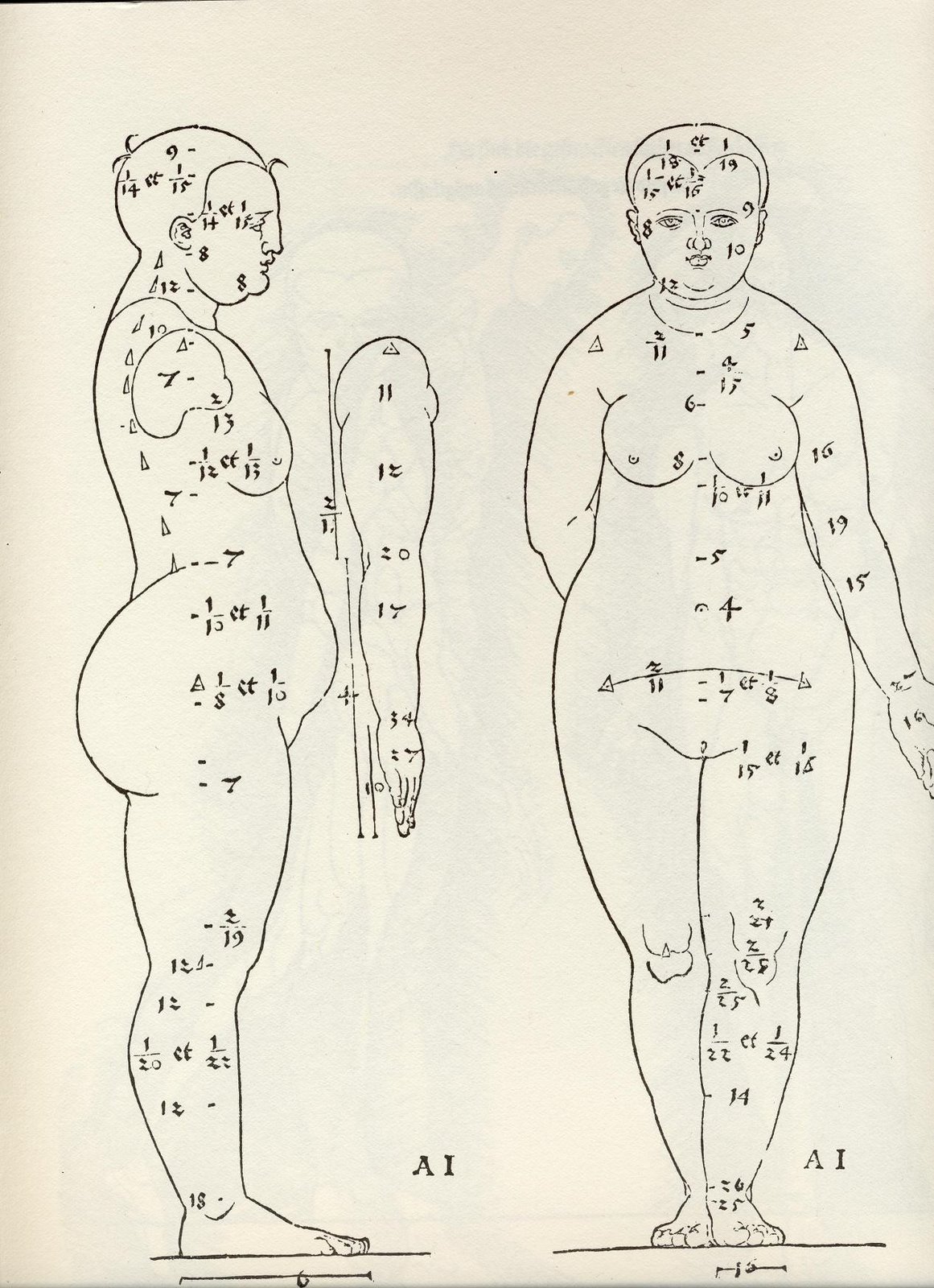 [durerScan10025-s.JPG]