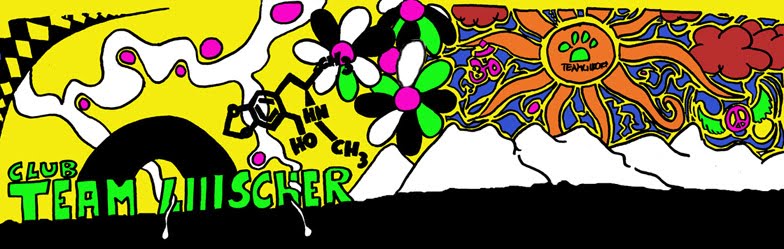 Team Liiischer