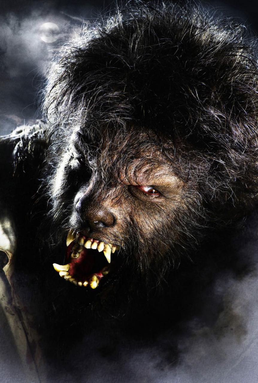 [the-wolfman-2010.jpg]