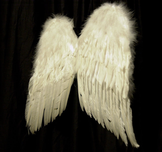 wings