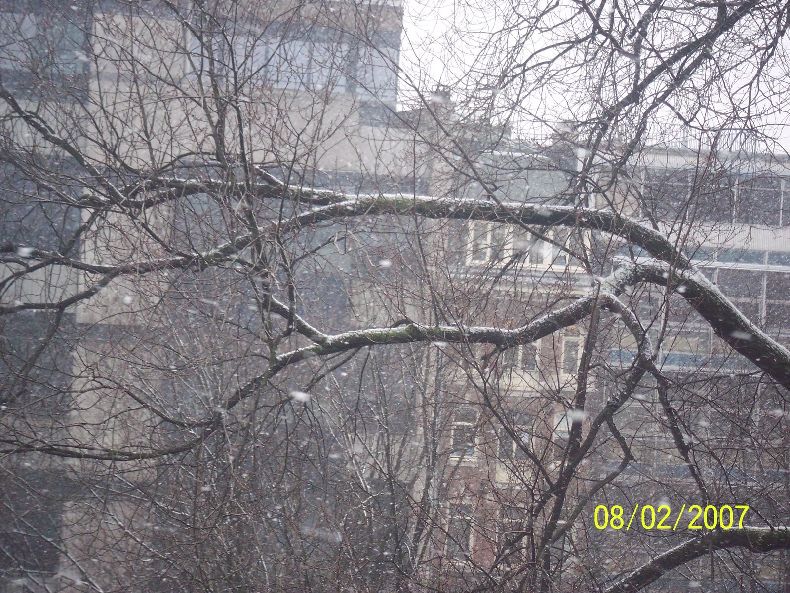 [101_0272.JPG]