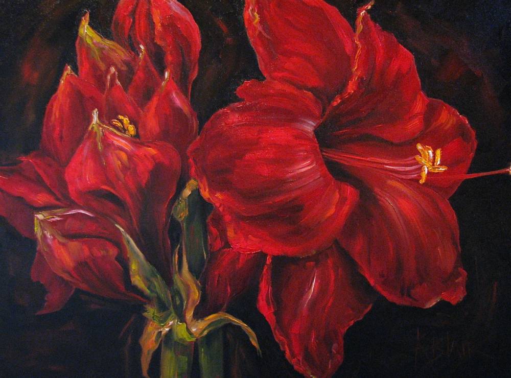 Kim Blair Amaryllis Floral Painting Bolero Red By Canadian